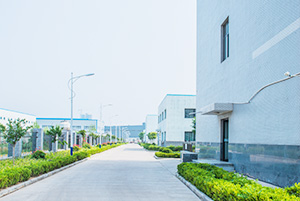 自公司成立以來(lái)，以振興和發(fā)展我國(guó)貴金屬催化劑和催化工藝為己任，已研究、開(kāi)發(fā)出了活性炭負(fù)載，氧化物負(fù)載，有機(jī)物負(fù)載貴金屬催化劑，均相催化劑，手性催化劑，專(zhuān)用催化劑等上百種催化劑，以及一百多種催化合成/反應(yīng)工藝技術(shù)。